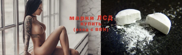 прущие грибы Богородск