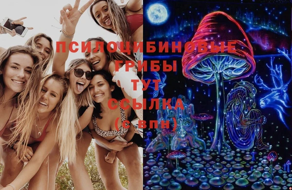 дурь Богородицк