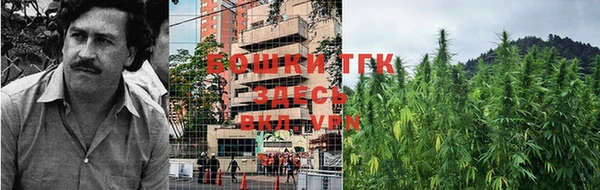 прущие грибы Богородск
